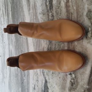 Everlane Chelsea boot